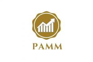 LOGO Partner Netzwerk - PAMM